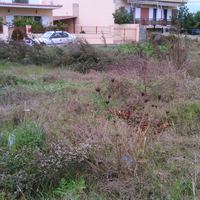 Land plot in Greece