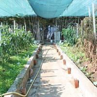 Другое в Греции, 180 кв.м.