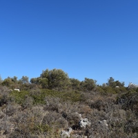 Земельный участок в Греции, 6900 кв.м.