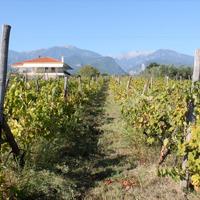 Villa in Greece, 400 sq.m.