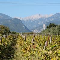 Villa in Greece, 400 sq.m.