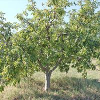 Villa in Greece, 400 sq.m.