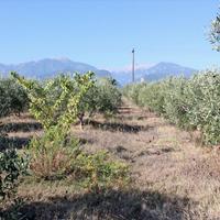 Земельный участок в Греции