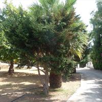 Бизнес-центр в Греции, 332 кв.м.