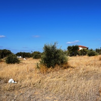 Land plot in Greece, 1125 sq.m.