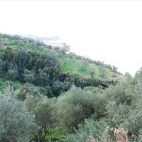 Земельный участок в Греции