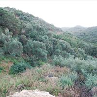 Земельный участок в Греции