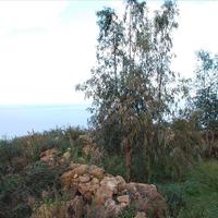 Земельный участок в Греции