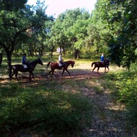 Бизнес-центр в Греции, 1600 кв.м.