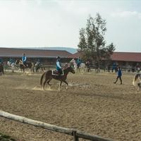 Бизнес-центр в Греции, 1600 кв.м.