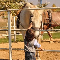 Бизнес-центр в Греции, 1600 кв.м.