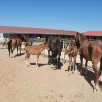 Бизнес-центр в Греции, 1600 кв.м.