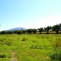 Земельный участок в Греции