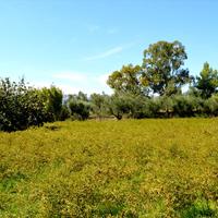 Земельный участок в Греции