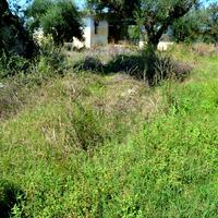 Land plot in Greece