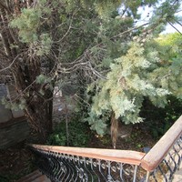 Другое в Греции, 210 кв.м.