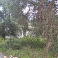 Other in Greece, 195 sq.m.