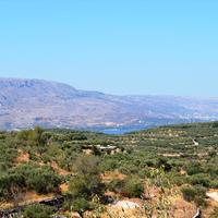 Земельный участок в Греции, 4000 кв.м.