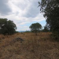 Land plot in Greece