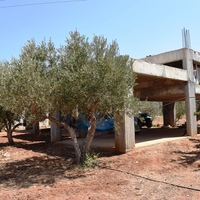 Другое в Греции, 270 кв.м.