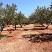 Другое в Греции, 270 кв.м.