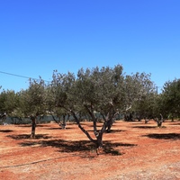 Другое в Греции, 270 кв.м.