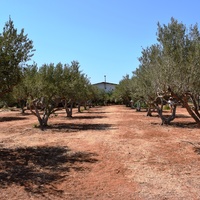 Другое в Греции, 270 кв.м.