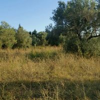 Land plot in Greece