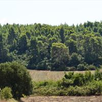 Земельный участок в Греции