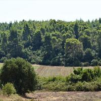 Земельный участок в Греции