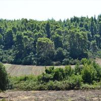 Земельный участок в Греции