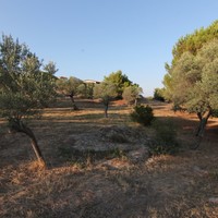 Land plot in Greece