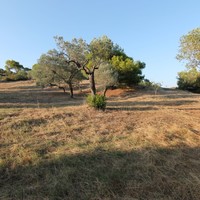 Land plot in Greece