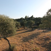 Land plot in Greece
