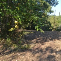 Land plot in Greece