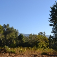 Land plot in Greece
