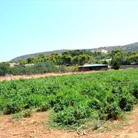 Земельный участок в Греции