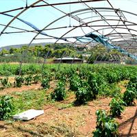 Земельный участок в Греции