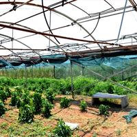 Земельный участок в Греции