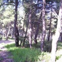 Земельный участок в Греции