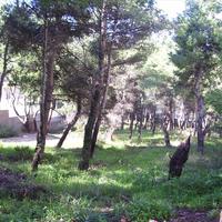 Земельный участок в Греции