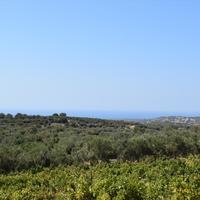 Land plot in Greece, 8300 sq.m.