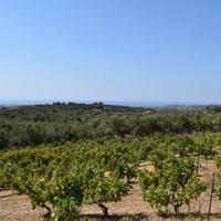 Land plot in Greece, 8300 sq.m.