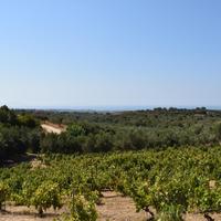 Land plot in Greece, 8300 sq.m.