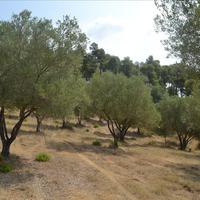 Земельный участок в Греции