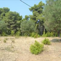 Земельный участок в Греции