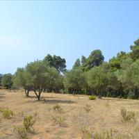 Земельный участок в Греции