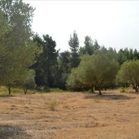 Земельный участок в Греции