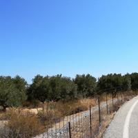 Земельный участок в Греции, 8556 кв.м.