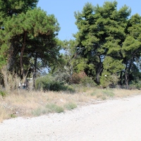 Земельный участок в Греции, 2700 кв.м.